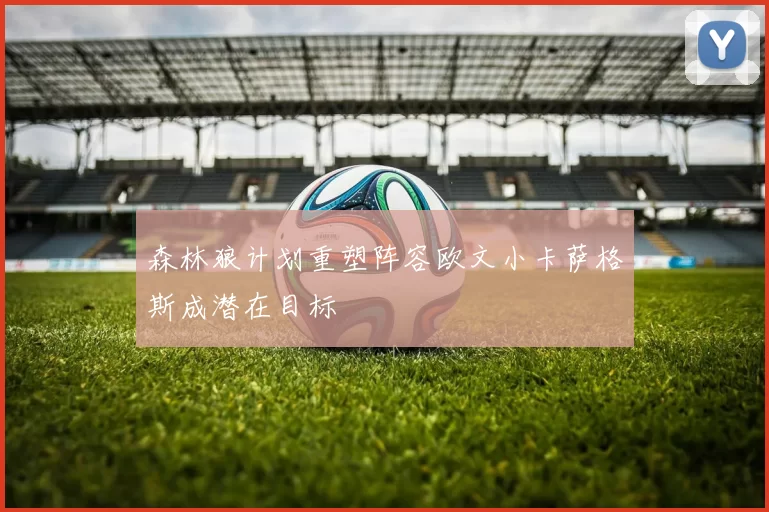 森林狼计划重塑阵容欧文小卡萨格斯成潜在目标